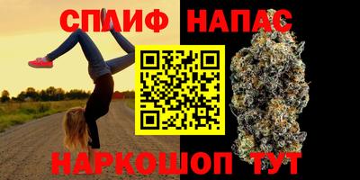 СК Краснодар