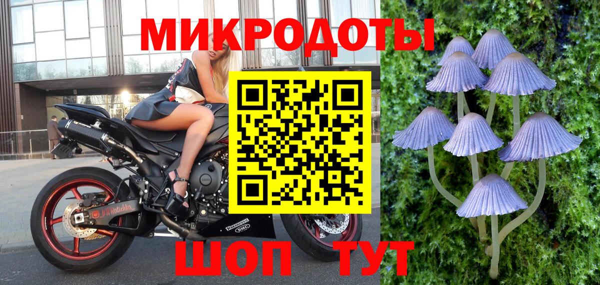 Псилоцибиновые грибы MAGIC MUSHROOMS Электросталь
