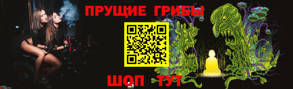 где купить   Вход с VPN  Электросталь  Псилоцибиновые грибы Magic Shrooms  Галлюциногенные грибы прущие грибы 
